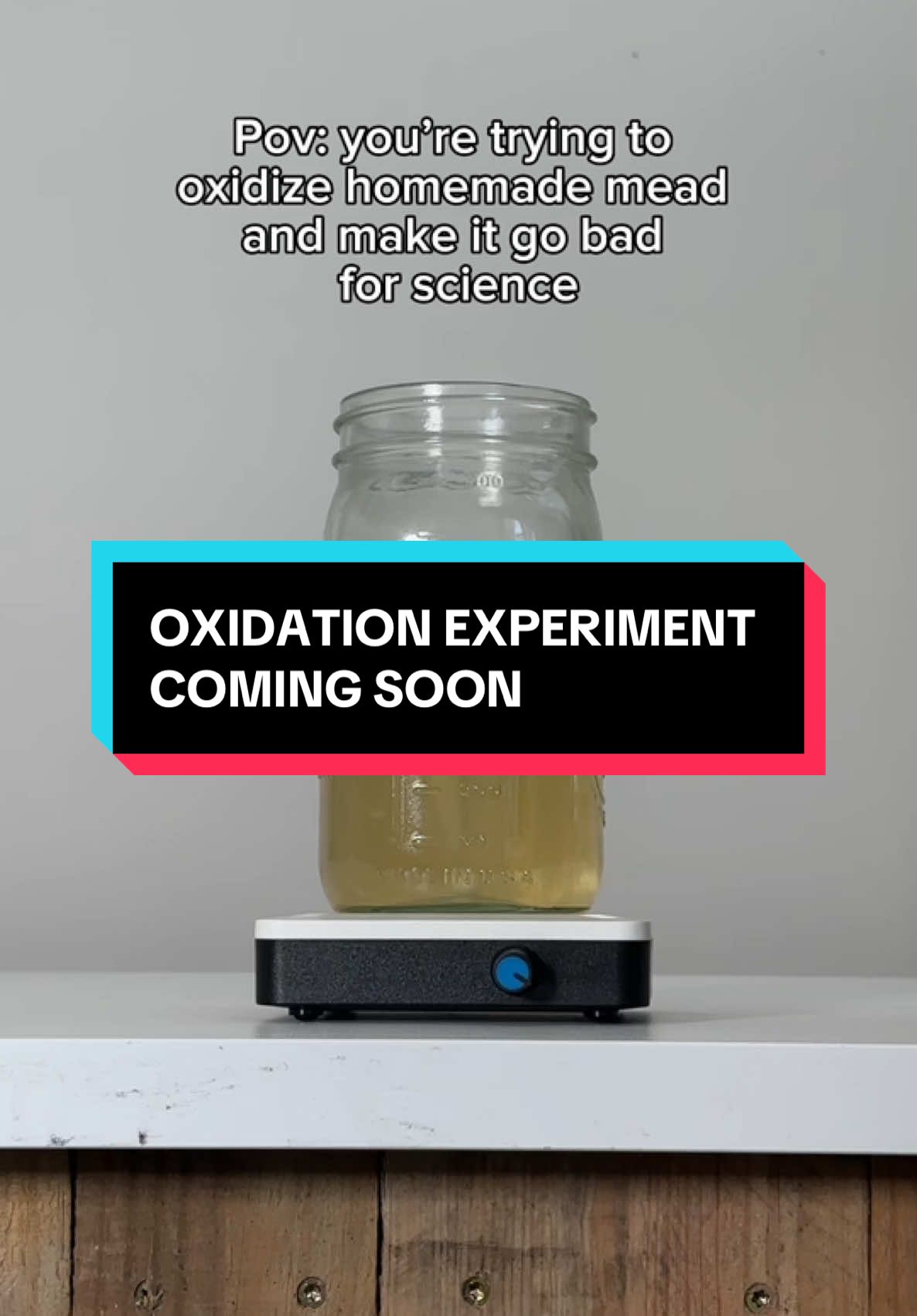 Trying to make mead go bad in the name of science. Experiment results coming soon…  #mead #meadmaking #homebrewing #experiment #fermentation 
