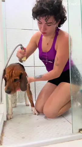 A felicidade de compartilhar minha vida com você ❤️🙌🏻#felicidade #dog #patas #vida #me #meu #duque #vida 