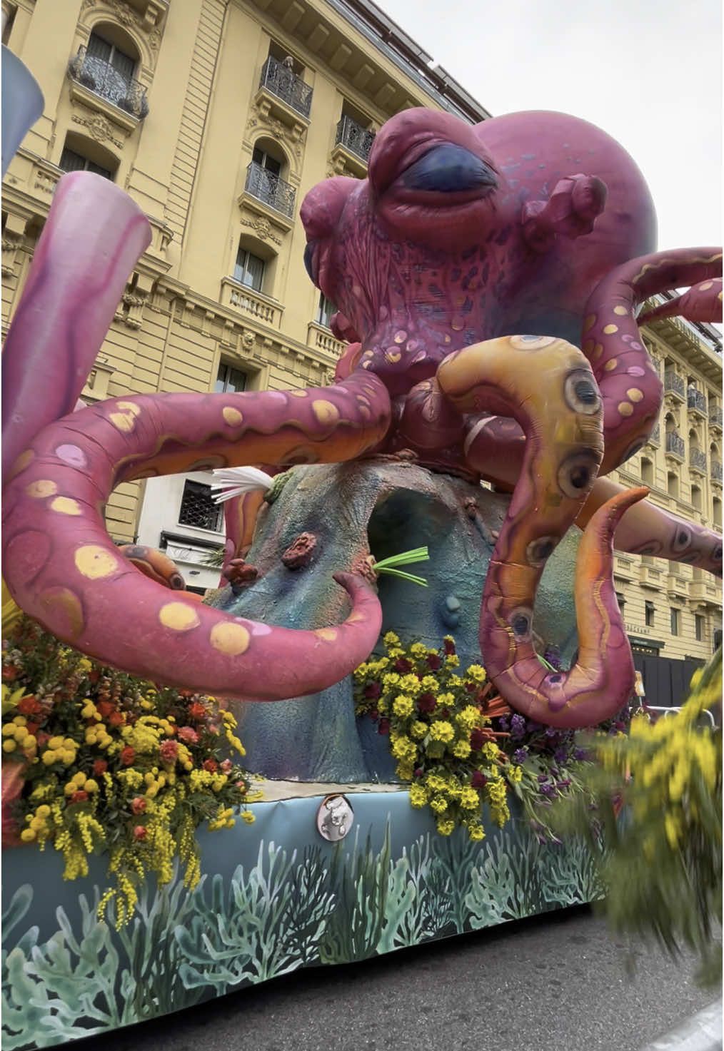 Carnevale di Nizza- La battaglia dei fiori 💐🌼🌷🎭 🇫🇷 #carnevalenizza #battagliadeifiori #carnevale2025 #nizza #francia 