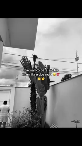 #fyp 