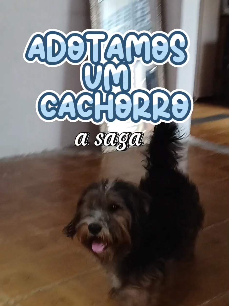 #pets  #CapCut #foryoupage #adoção #fyp 