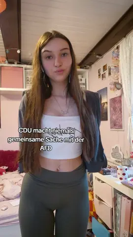 #afd #cdu #politik #merz 