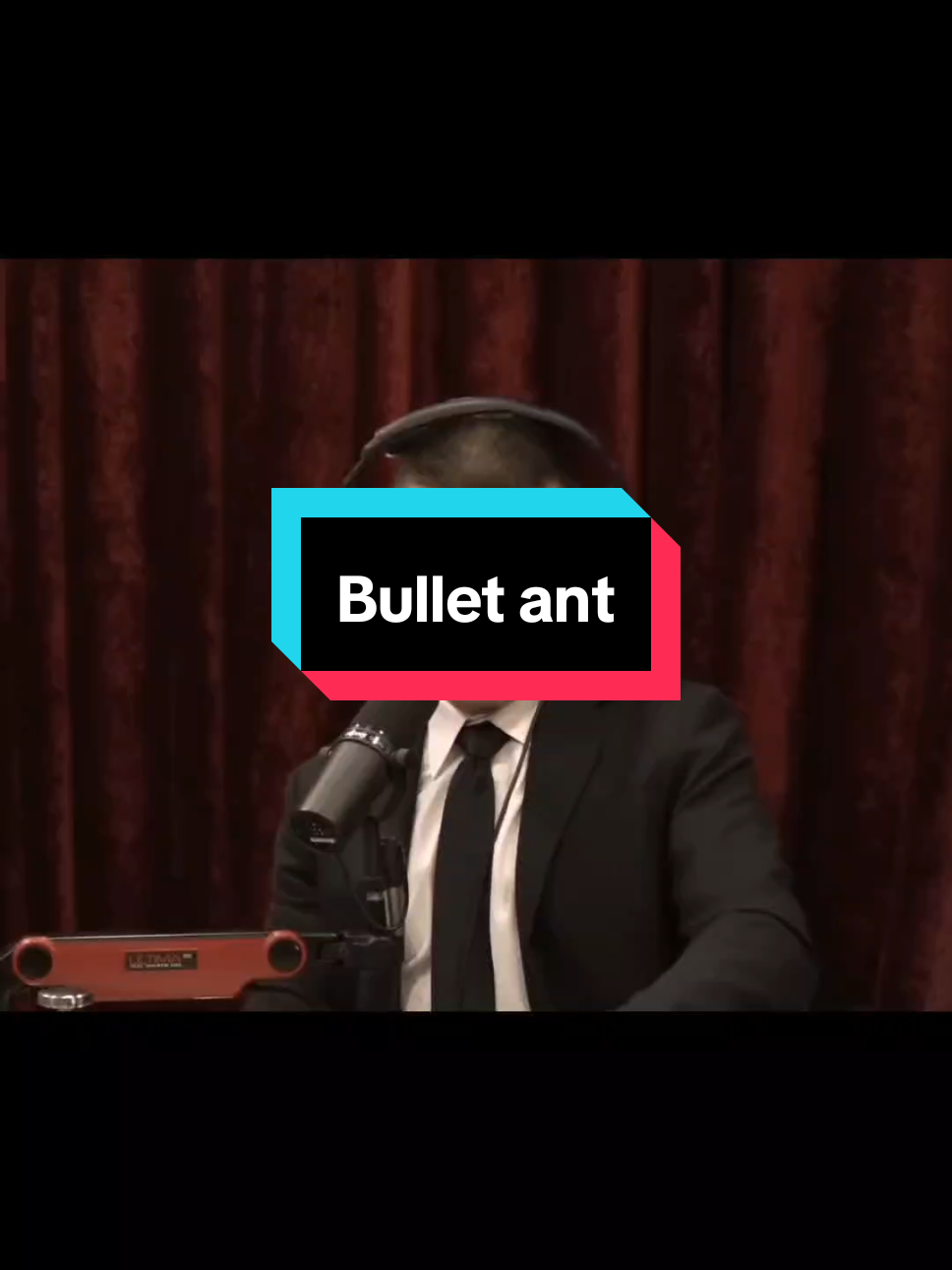 Bullet ant #fyp #joerogan #podcastclips #lexfridman 