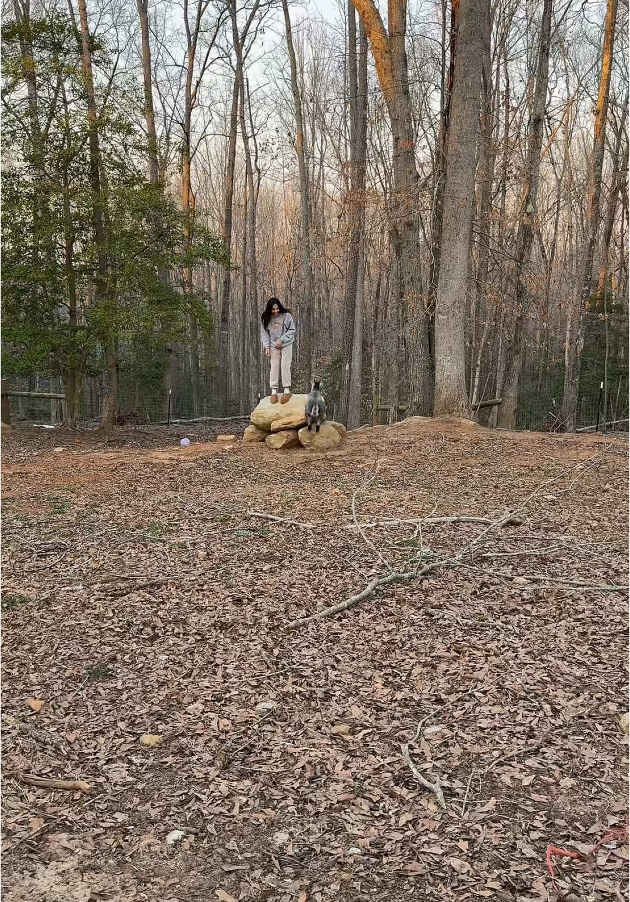 Goat zoomies are my favorite 🤣🥹 #momsintheir30s #motherhoodunfiltered #nonaestheticmom #countryliving #farmanimals #ditlofamom 