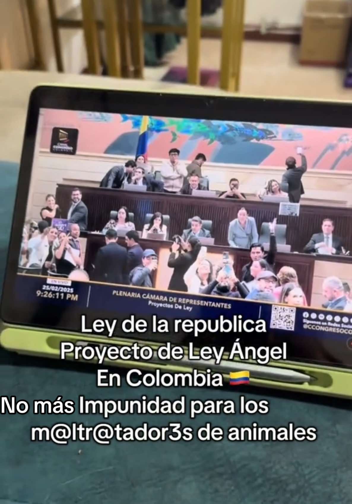 No más Impunidad para los m@ltr@Tad0res de animales 🚨 No estoy llorando, tú estás llorando? Gracias Dios #leyangel #animalista #colombia #congresodecolombia #angel #haciendohistoria 