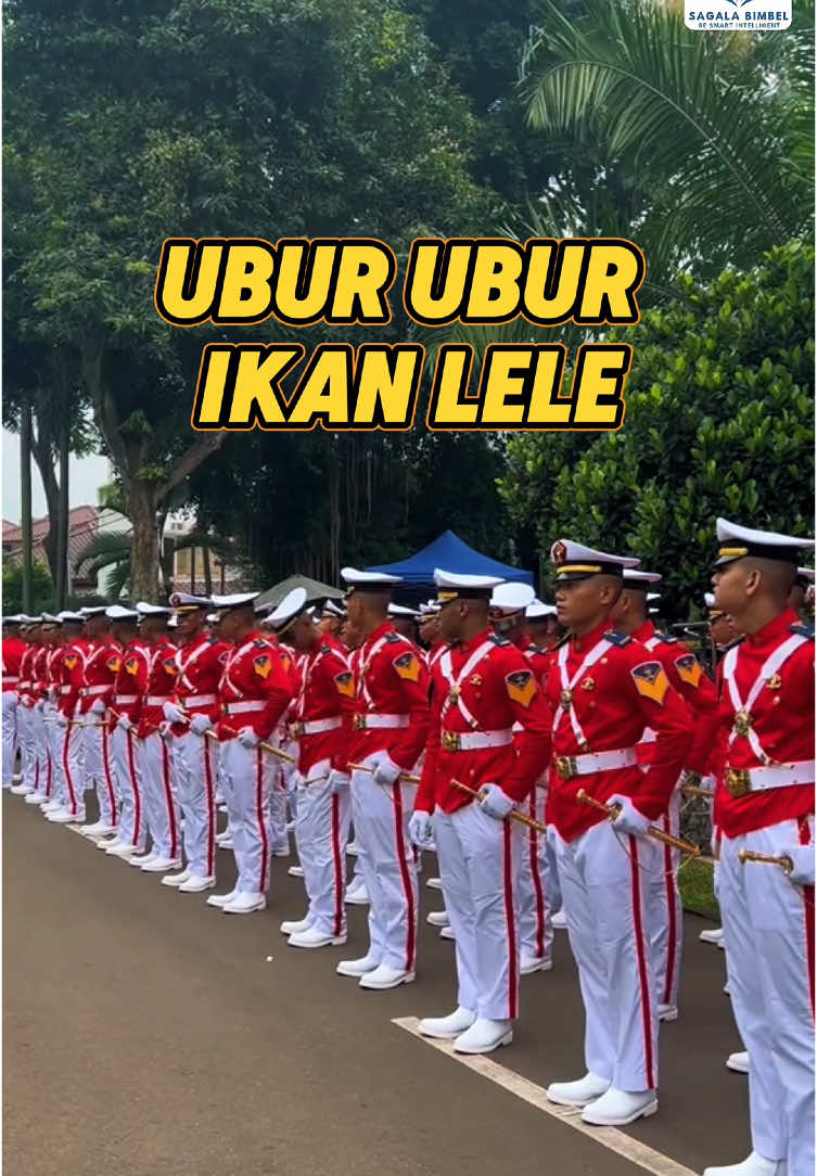 Kangan lewatin kesempatan emas ini sebentar lagi pembukaan kedinasan 2025 akan segera dibuka, jadi persiapkan dari sekarang dengan matang  #kedinasan #skdkedinasan #luluskedinasan #poltekip #poltekim #ipdn #stan #stin #stis #xyzbca #kedinasanindonesia #xyzbcafypシ #