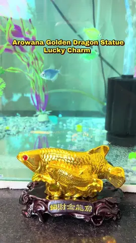 Isda ang naging swerte ko kaya still blessed padin🥰 #luckycharm #fengshui #goldenarowana #statue #fishtok 