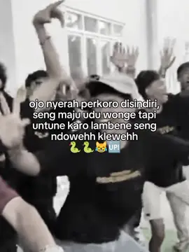CLOROTTTTT #nyindirkeras #masukberanda #gwsmlovers👹 #fyppppppppppppppppppppppp #xybca #banjarnegara24jam🏴‍☠️ #fypシ゚ #mootstiktok 