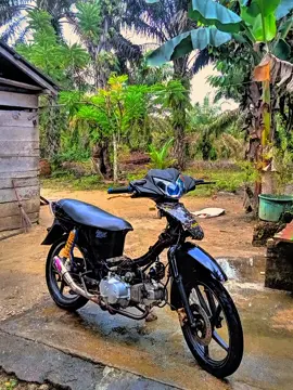 std abizz😁 #kphjogjastyle #suprabapak #suprax125 @𝙠𝙮𝙯_𝒃𝒍𝒂𝒄𝒌🥀. @💥 #fyp #bissmillahfyp 