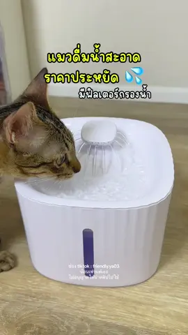 น้ำพุแมวราคาประหยัด มีฟิลเตอร์กรองน้ำสะอาด มีไฟ LED ใส่น้ำได้ 2 ลิตร