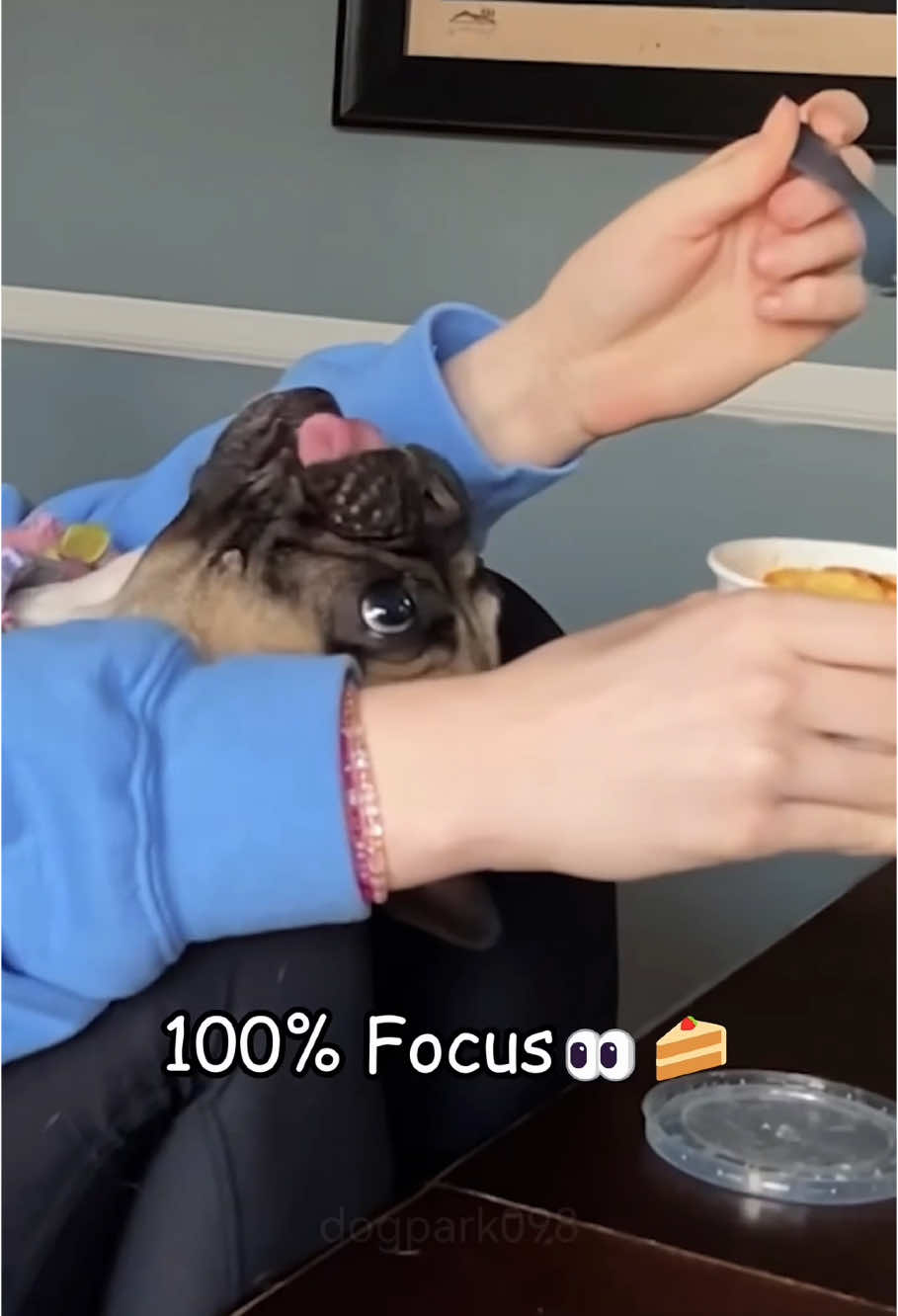 How do you know when your dog is hungry👀🐶🤔#dog #dogsoftiktok #fyp #foryou   #viralvideo #pet #usa_tiktok 