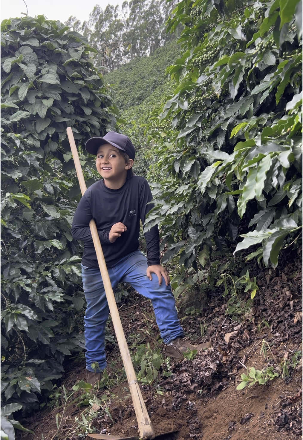 Consertando a parambeira 🤠 #agro #roca #cafe #paiefilho 