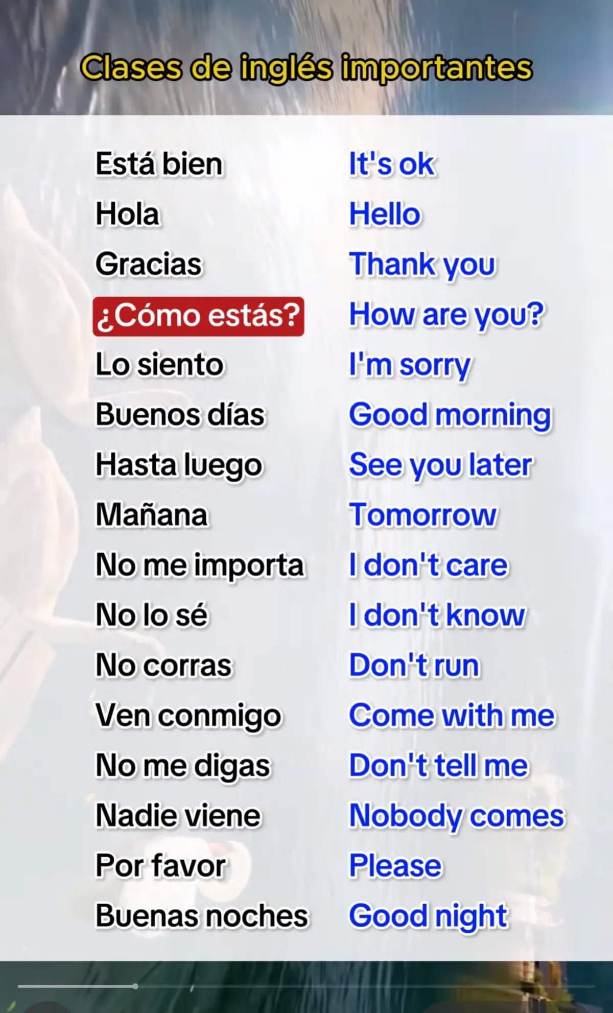 Aprende inglés. #ingles #aprendeingles #inglesbasico 