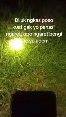 #fyppp #tukangngaritindonesia #peternaksapi #balnteksapi 