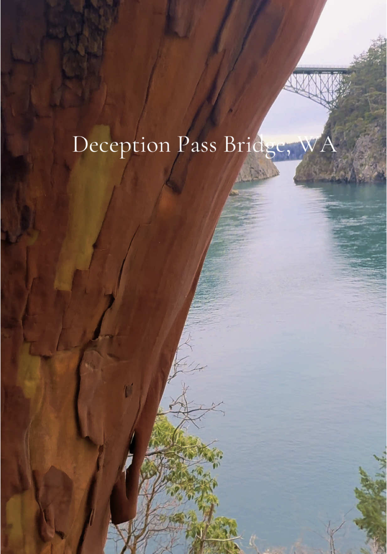Deception pass is always a beauty to see! The water. The bridge. Everything. 🌲🏔️👌🏾  #hike #hiketok #hikersoftiktok #hikertok #nature #pnw #deception #bridge 