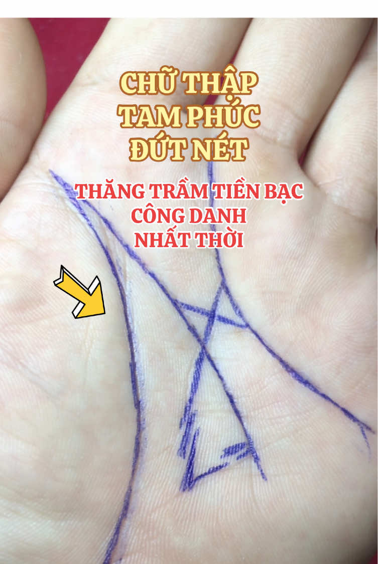 Công Danh Chưa Toại , Tiền Của Khó Tụ #xemchitay #xuhuong #xemtuongbantay #giaitri 