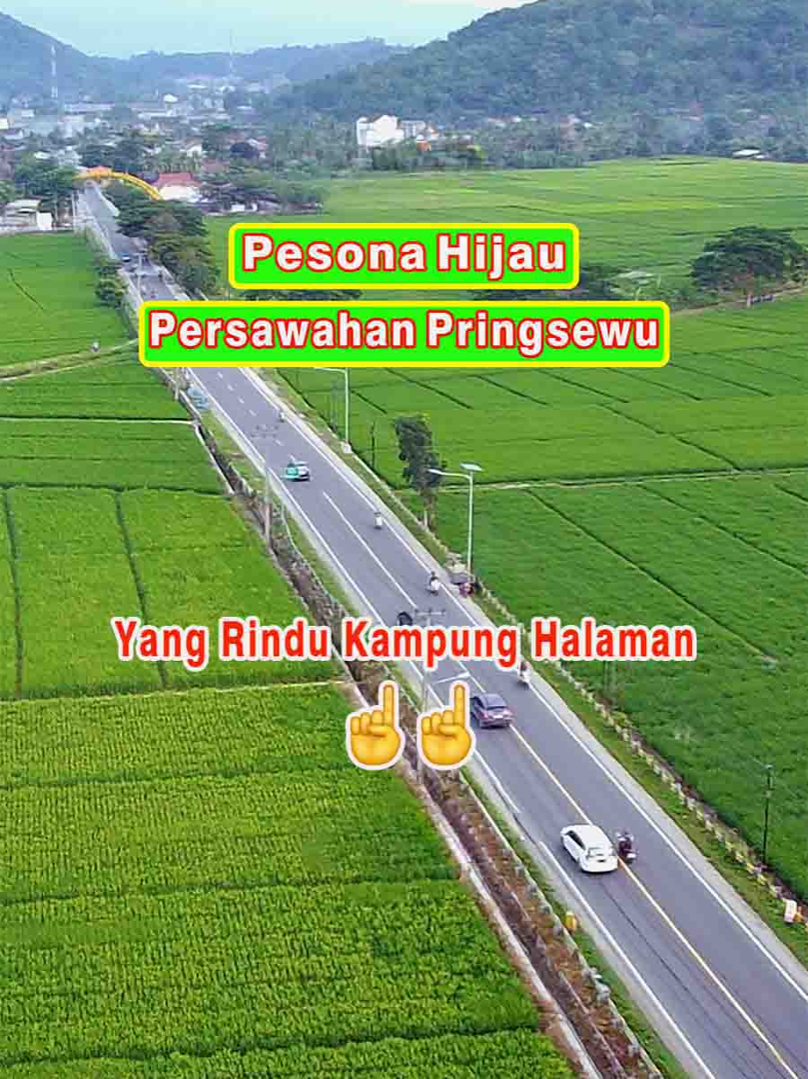 Yang Rindu Kampung Halaman ☝☝😊 Pesona Hijau Persawahan Pringsewu, Jalan Raya Wates, Kec. Gadingrejo, Pringsewu -Lampung #gadingrejo#pringsewu #lampung