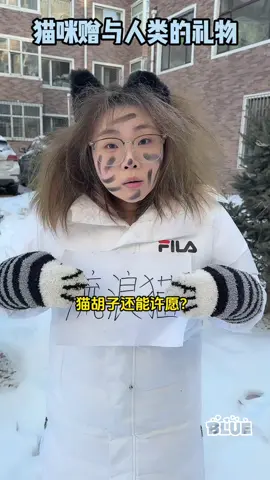 小貓咪贈予人類的禮物，快來許個願吧~ #流浪貓 #流浪貓日常#關愛流浪貓 #貓鬍子許願#foryou