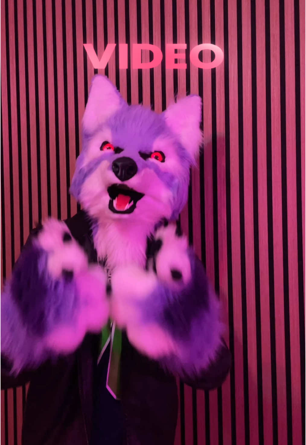 You are my favorite fruit  #furry #furryfandom #furrytiktok #fursuit #fursuiter #fursuiting #fursuitpartial #partialfursuit #partialfursuiter #fursona #funny #silly #positivity #positivevibes #staypositive #wholesome #cute #wolf #costume #german #germanfurry 