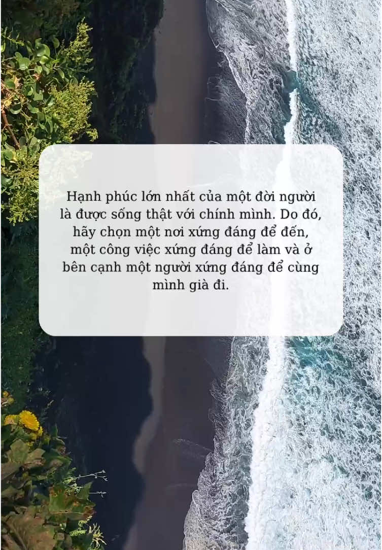 Hạnh phúc đâu phải riêng ai #tamtrang #tinhthuc #loihayydep #hanhphuc #LearnOnTikTok 