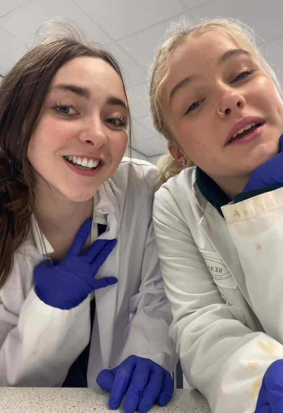 Dissections 🐹🥼🧬#fyp #foru #dissection #scienceexperiments #veterinarian #vetmed #stem #labatory #lab 