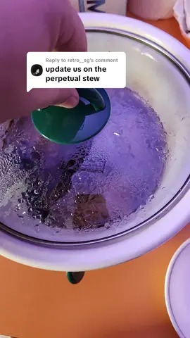 Replying to @retro__sg #perpetualstew #foreverstew #hunterspot #blindingstew #stewthatmakesyoublind #stewthatmakeshergoblingfor1day #marthastewart 