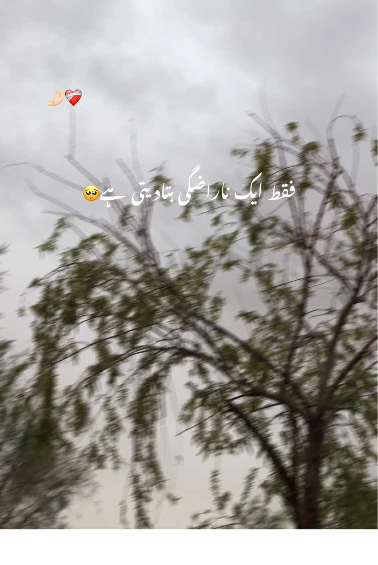 فقط ایک ناراضگی بتادیتی ہے🥺 Repost #aesthetic #poetry #poetrystatus #grow #account #foryou #foryoupage #1million #rehanvibes #firstvideo @hehe_samiii 