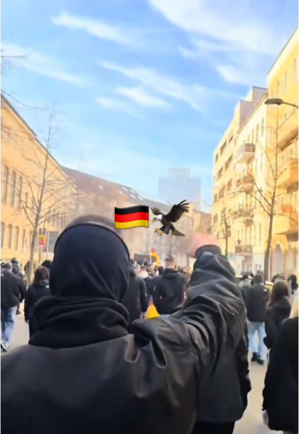 @𝔓𝔞𝔰𝔠𝔞𝔩🇩🇪 #berlin #demo #heimat #deutschland#afd #fyp    IG:_marcel.bln#