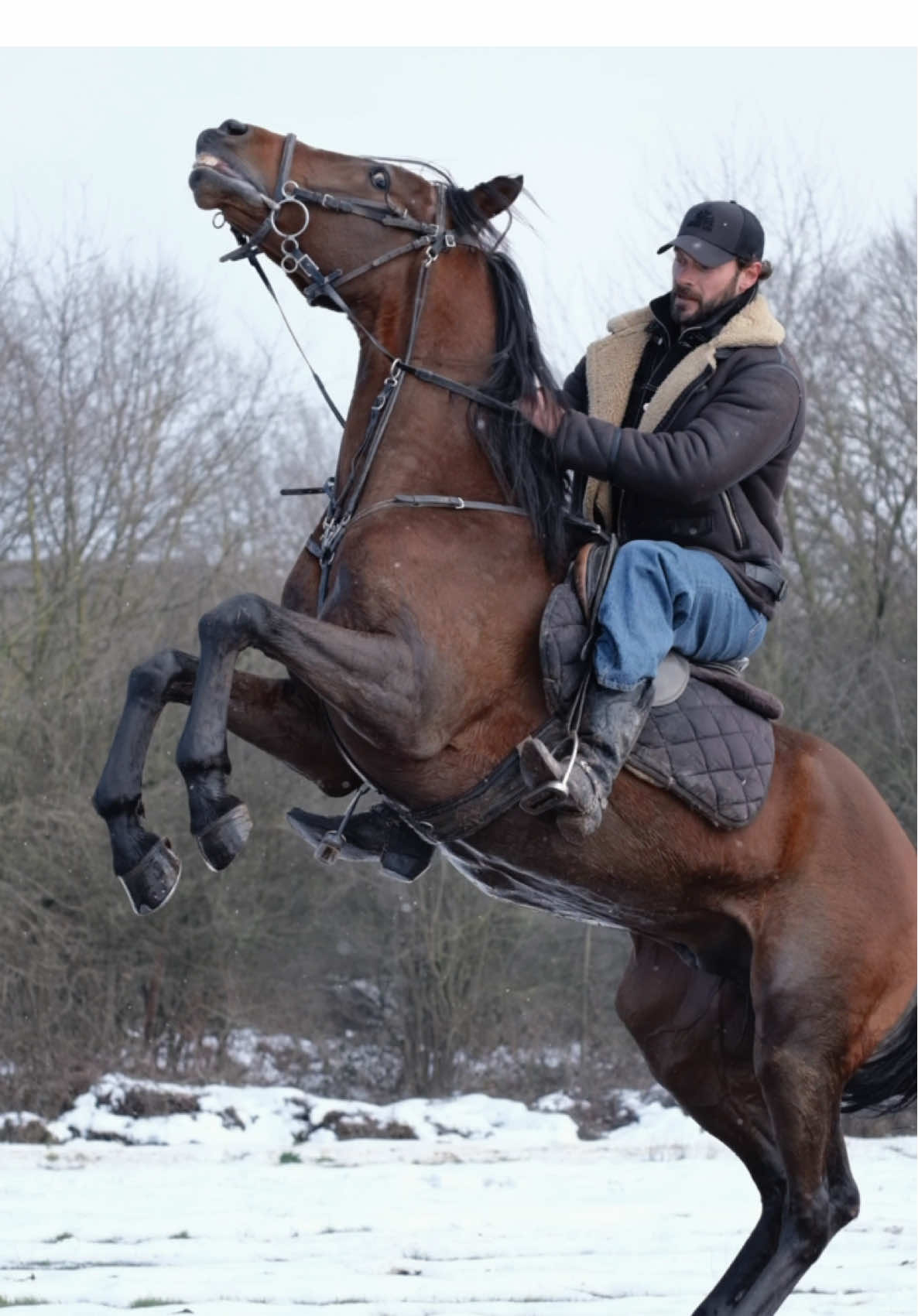 Young Tyga doing amazing progress only 4 years old. #fyp #cowboy #horse #french #istanbul #travel #animals #Love 