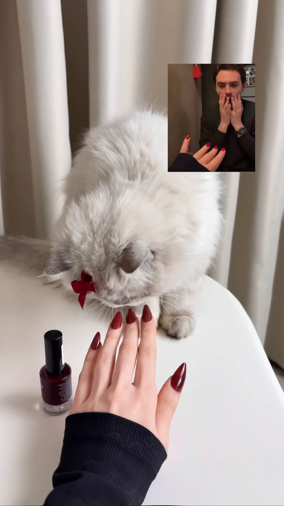 آخر وحده تسوي الترند💅🏻 #ويلي #ترند #ويلي_ياويلي🥺♥♥♥ #ترند_الرياض #اكسبلور #مناكير_أظافر #تيك_توك #مالي_خلق_احط_هاشتاقات #راشد_الماجد #مناكير #اظافر #cupcut #4u #بستي #قطوتي #مياو 