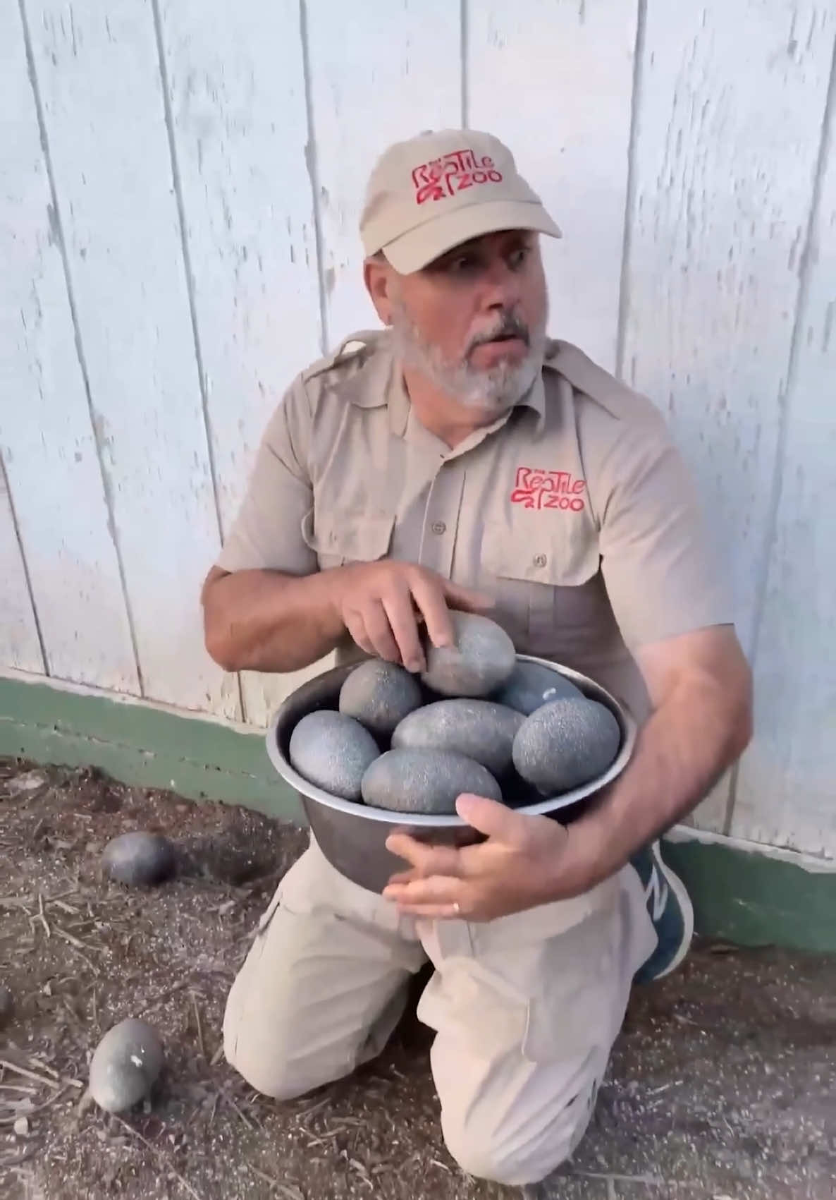 EMU EGG HUNT😳 Stealing these eggs was no easy feat😅 Security here is always on lookout but luckily I was able to blend in and get out of there safely🙌 Good thing I’m sneaky😏Mission Accomplished✅