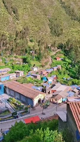 #viral_video #pollito✨️🐥 ❤️#pollito por siempre 🪴 # chungui la mar ayacucho....😎😊