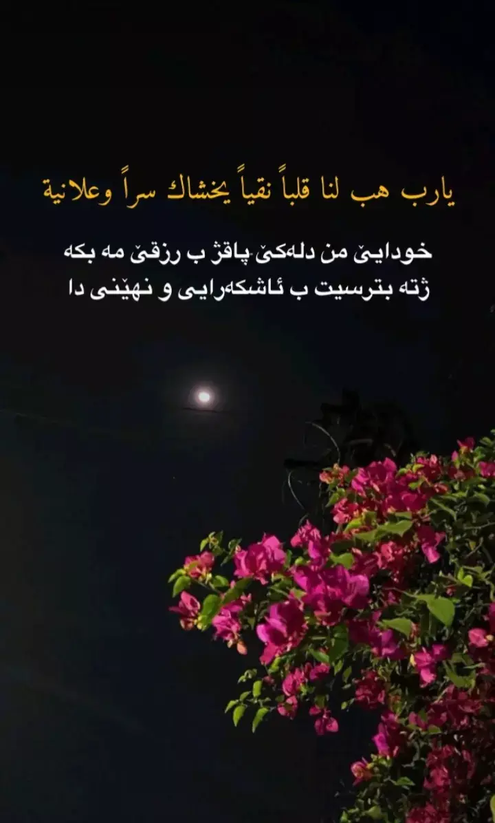 خودايى من دله كى پاقژب رزقى مه بكه ژ ته بتر سيت ب ئاشكه رايى و نهينى دا🥺💔🥀 #الحمدلله_على_كل_حال 