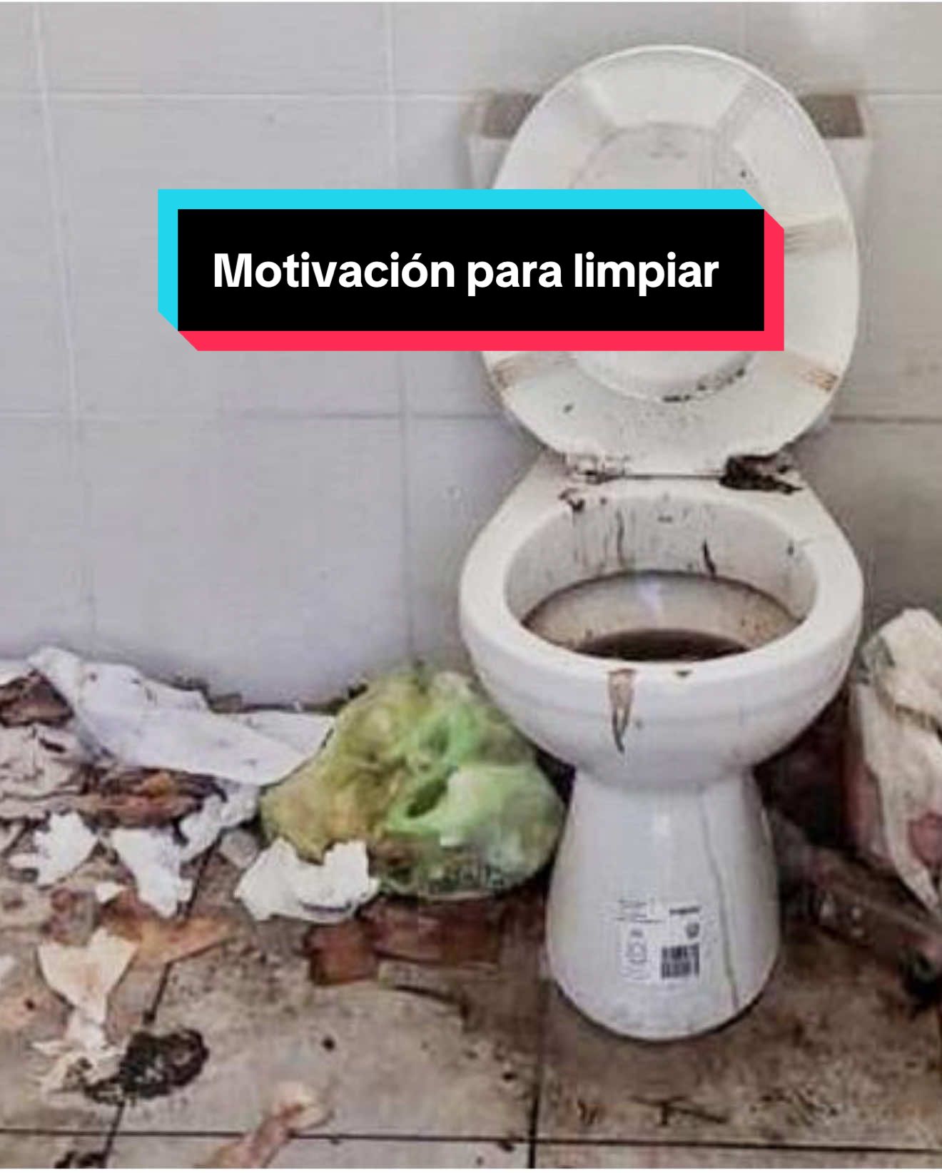 Motivación para limpiar 🤗#parati #fyp #foryoupage #lysol #clorox #clean 