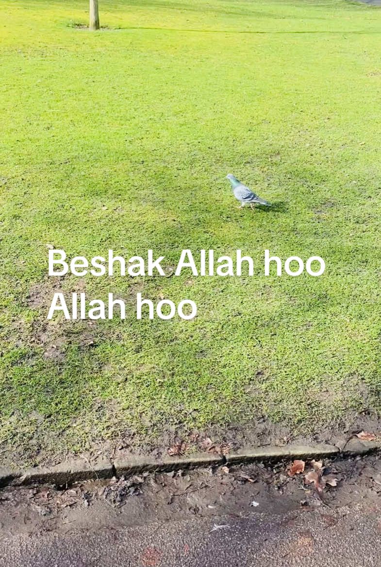 #Beshak 🤲🏻🤲🏻