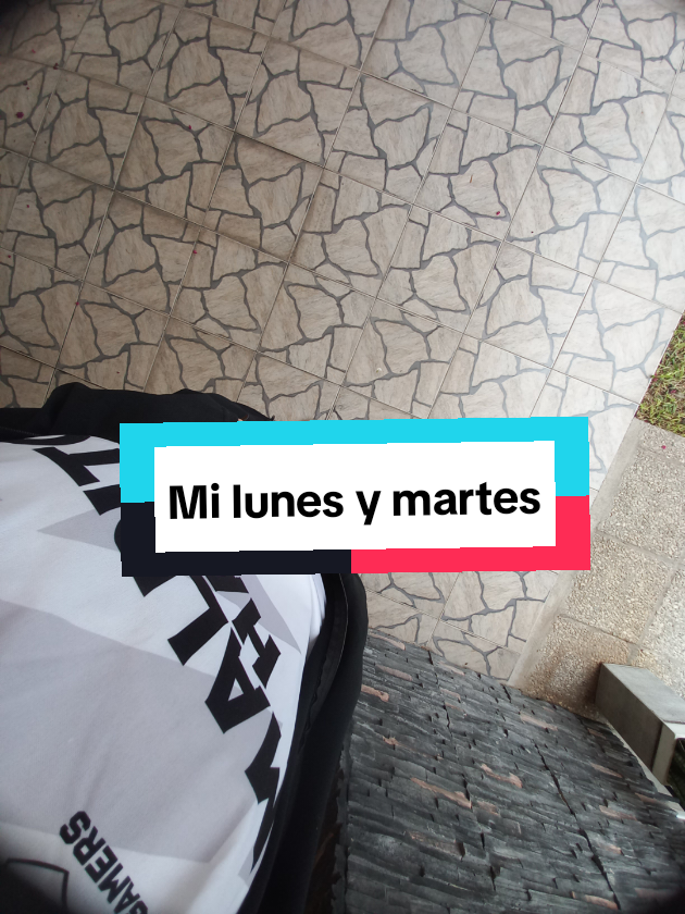 Un poco de lo que fue mi lunes y martes  ✨️ • Fui a T.O  • Estudie para la última materia ⏳️👩🏼‍🎓  • Cielo rosa ✨️🩷 • Siempre remera de @Punto Gamers  #pfypシ #terapiaocupacional #lluvia #monday #videostiktok #highlights #vivircondolor #artritis #artritisreumatoide #exercise #sannicolas #unamateriaynosvamos 