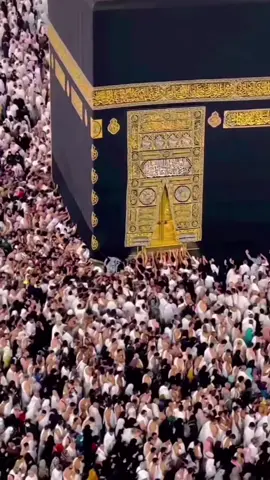 #creatorsearchinsights #foryou #viralvideo #🕋🤲🕌 @🆁🅵 🫵 Jutt$ab143 