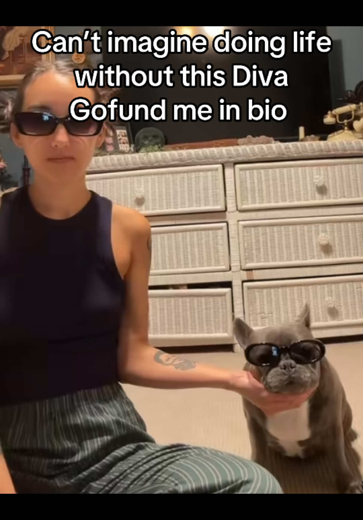 That’s P 💅🏼 @ParisHilton #fypシ #fyp #gofundme #fypシ゚viral #greenscreenvideo #dogsoftiktok 