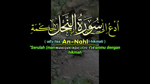 #القران_الكريم_راحه_نفسية😍🕋 تنشرون الاغاني وتستحون من نشر القرآن ويلكم من الله انشرو لتكسب الاجر 