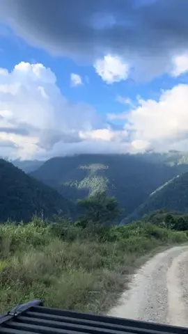 👣🍃⛰️ #manokwari_papuabarat  #pegununganarfak  #viral #tatinggaldipapua #fyppppppppppppppppppppppp 