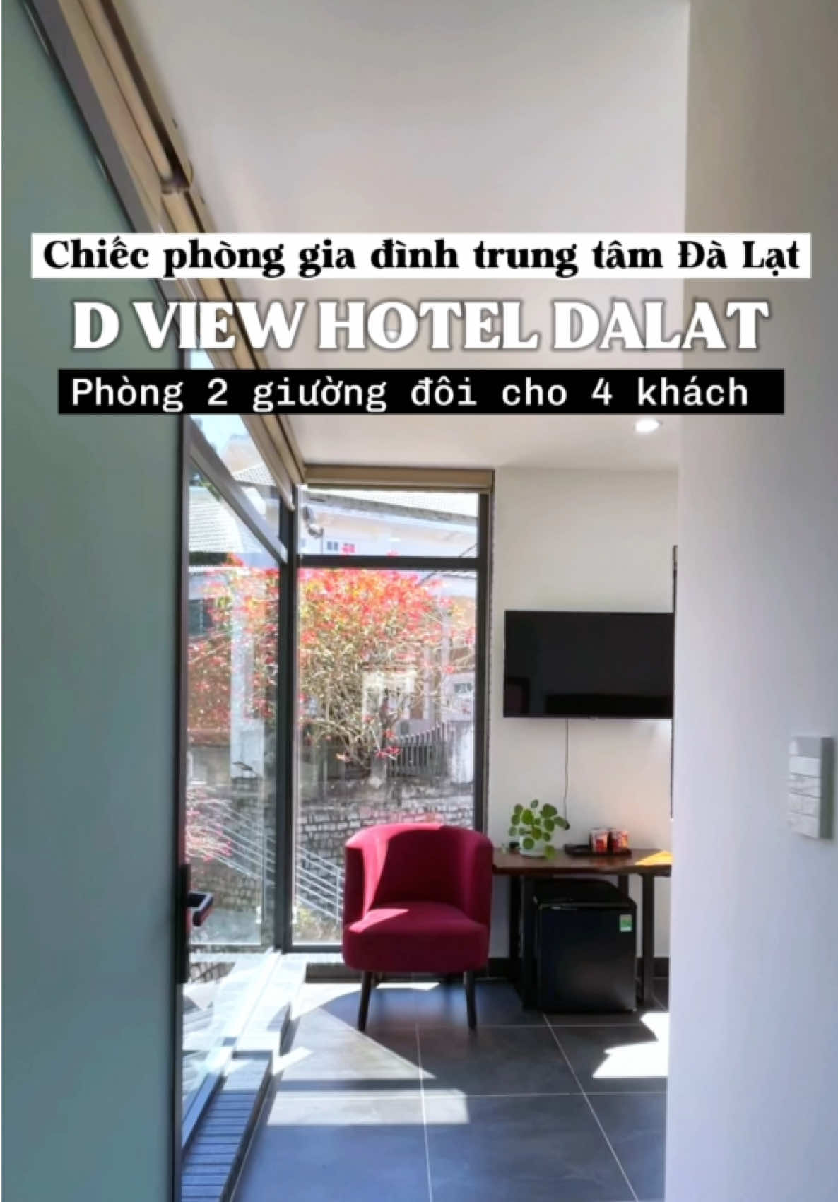 Khách sạn đẹp cho.mấy pro đây ạ #khachsandalat #dviewhoteldalat #dviewhotel #homestaydalat 