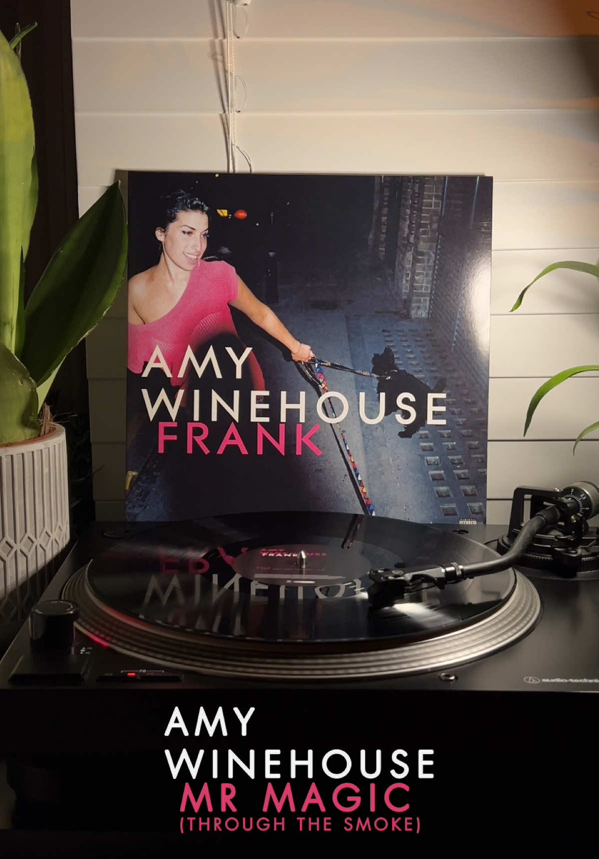 frank (2003) half speed master (2020) 💿 easily in my top 2 amy songs ever… i relate to this song a lot 😜 and this half speed master is always gonna be one of the best sounding pressings i own 😫 #amy #amywinehouse #amywinehousevinyl #frank #frankvinyl #halfspeedmaster #debut #debutalbum #mrmagic #soul #neosoul #jazz #2000s #2000smusic #2000suk #2003 #vinyl #vinylrecord #vinylcollection #records #recordcollection #music #turntable 