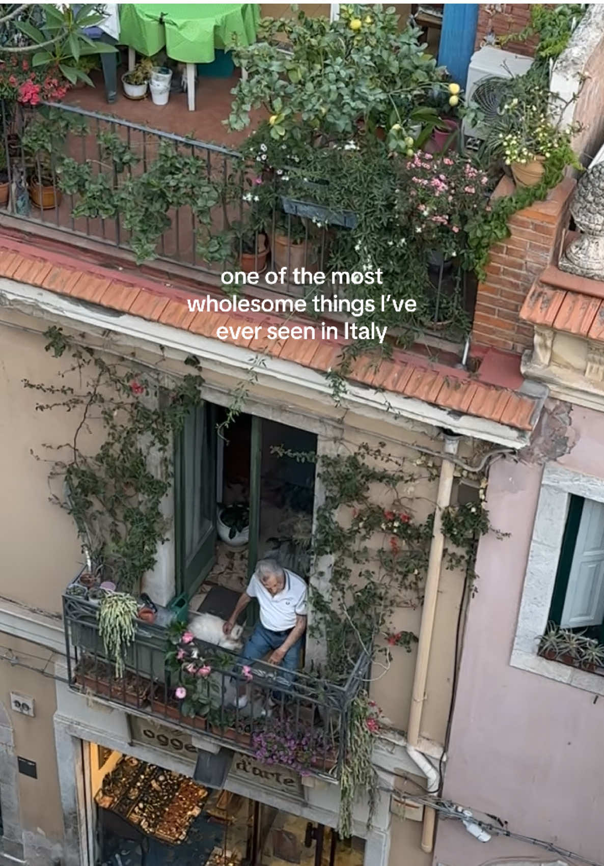 Just a man and his cat 🥹 #sicily🇮🇹 #taormina #italytrip #italiansummer 