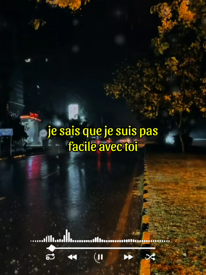 laissons parler les jaloux#amoureux #parole #lyrics_songs #musica #songs #francais #francetiktok #france #viralvideos #flowlyricss 