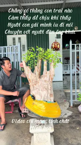 Ai đã từng mới hiểu #câycảnh #hoabanglangtim00 #cây #bonsai #bonsaitree #bonsaimini 