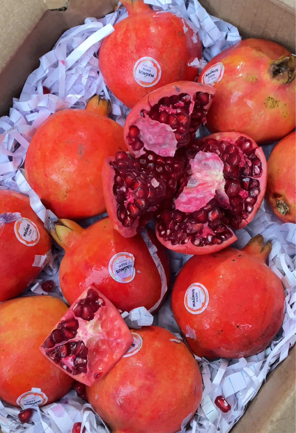 Halo Sobat TBS, si cantik merah delima sudah ready kembali nih guysss ‼️ Saat ini ready delima india fresh dengan kualitas premium dan harga promooo lhoo 😍 Yuk dapatkan promonyaa ❤️‍🔥 #delima #delimamerah #buahdelima #delimaimport #pomegranate #bumil #7bulanan #sehat #readystock #buahsegar #fyp 
