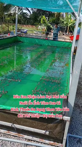 Bạt Thủy Sản Mai Sẳn Đóng Khuyên Nhiều Kích Thước - Chi Phí Thấp Thích Hợp Mọi Địa Hình Tháo Ráp dể dàng - Làm Hồ Bơi Cho Bé - Trử nước sinh hoạt Quan Tâm đến sản phẩm vào giỏ hàng tittot shop của mình hoặc nhắn tin mình tư vấn về kích thước tự chọn ạ !  Đặc Biệt có hổ trợ giới thiệu về nguồn con Giống Ếch Ốc & Cá uy tín . #nuoica #Phuongduchoa #lươn #thuysinh #cá #ếch #ốc #ech #bacthuysan #channuoi #nongnghiep