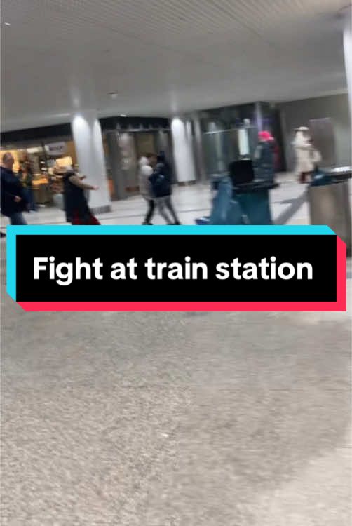 Fist fight at German train station 🤛🚄 #europe #crazy #news #personal #pov #criminal @Alice Weidel 