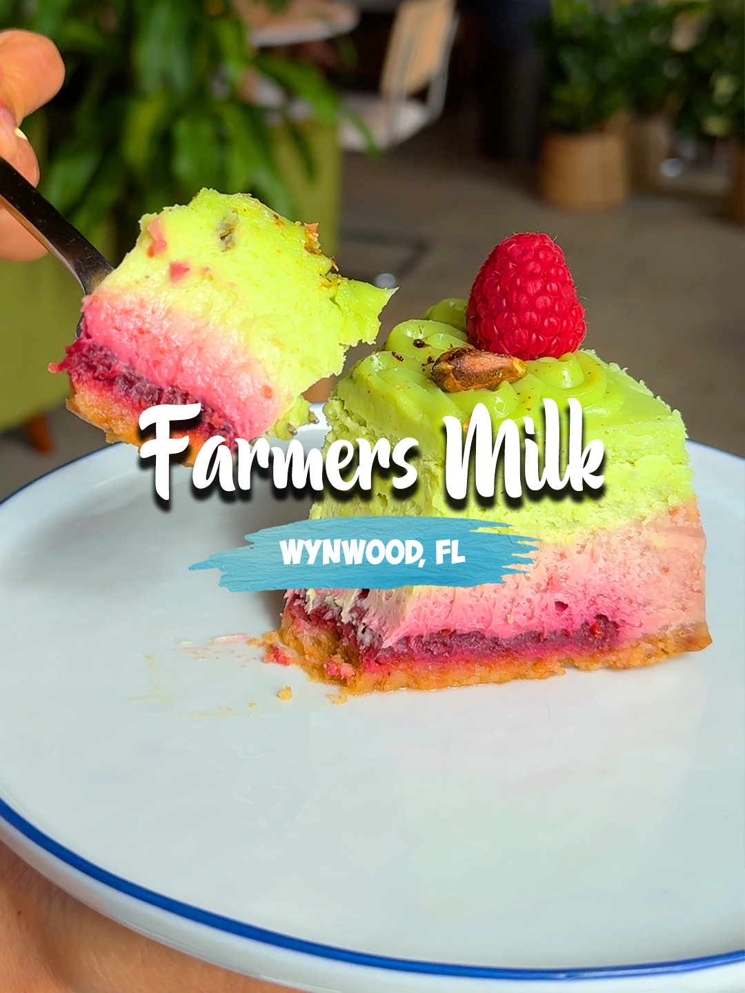 Farmer’s Milk Wynwood: Delicious Cakes & Fresh Dairy Treats! #TheSoFloDuo #SoFloGem #Florida #Floridatravel #travelcreators #travel #visitflorida #farmersmilk #visitmiami #hollywood #wynwood #desserts #cake #placestoeat #fyp #explore