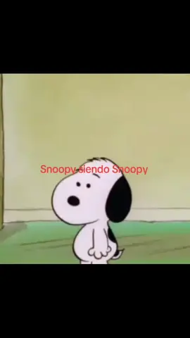 único y detergente #snoopy #fyp #foryou #foryoupage #tiktokponmemeenparati 